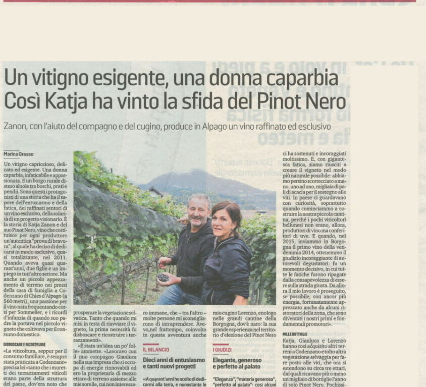 Articolo su valdepol Corriere delle Alpi 27/7/2020 - sez. Gusto