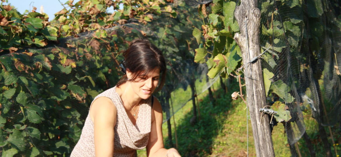 Katja Zanon Lavoro in Vigna vendemmia pinot nero valdepol 2020