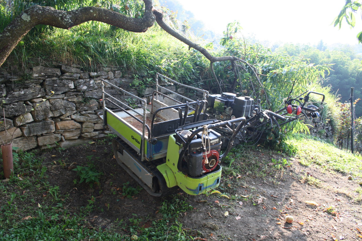 Motocarriole vendemmia valdepol pinot nero 2020