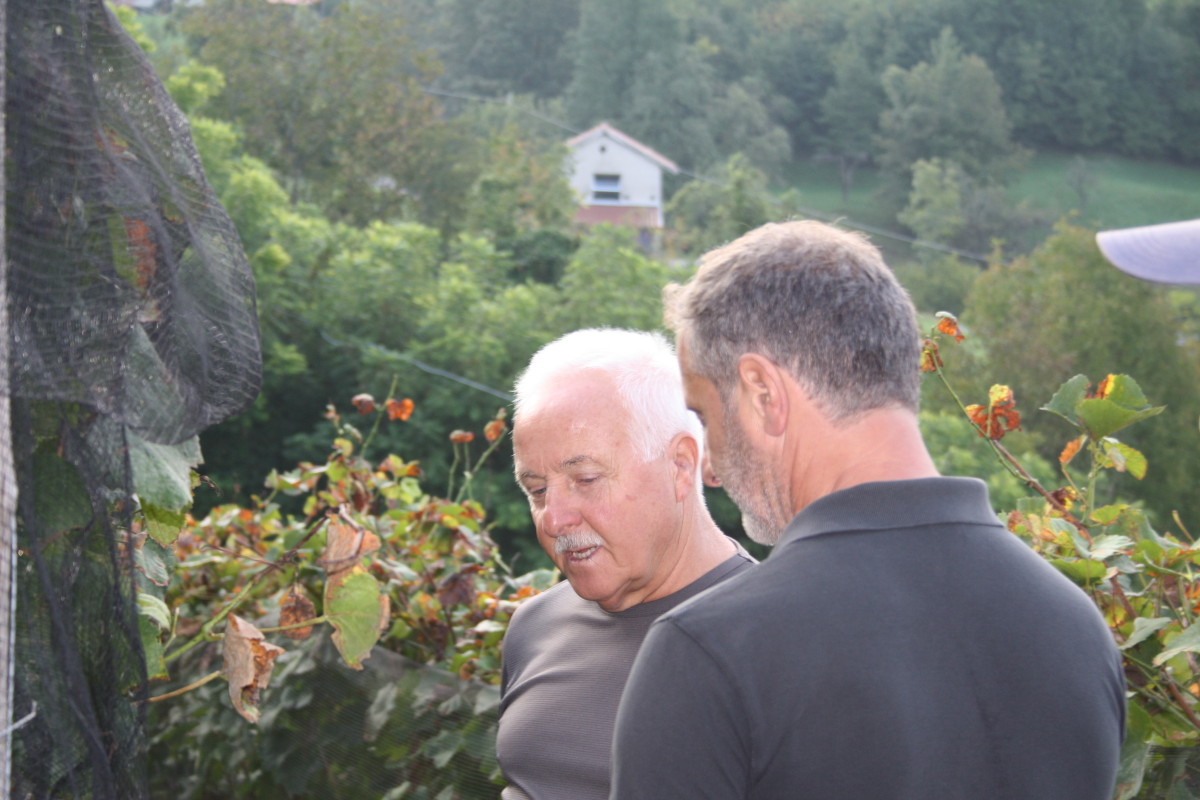 Valdepol vendemmia Pinot Nero Cors 2020