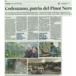 Il Gazzettino 12-11-2019 - Codenzano Patria del Pinot Nero