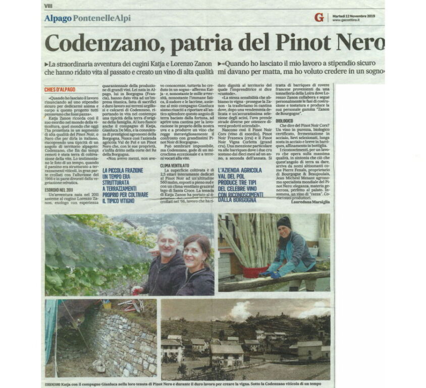Il Gazzettino 12-11-2019 - Codenzano Patria del Pinot Nero